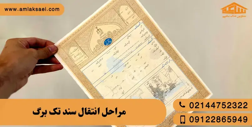 مراحل کامل انتقال سند تک‌برگ به زبان ساده + نکات قانونی ضروری