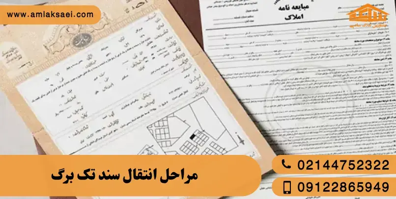 مراحل کامل انتقال سند تک‌برگ به زبان ساده + نکات قانونی ضروری